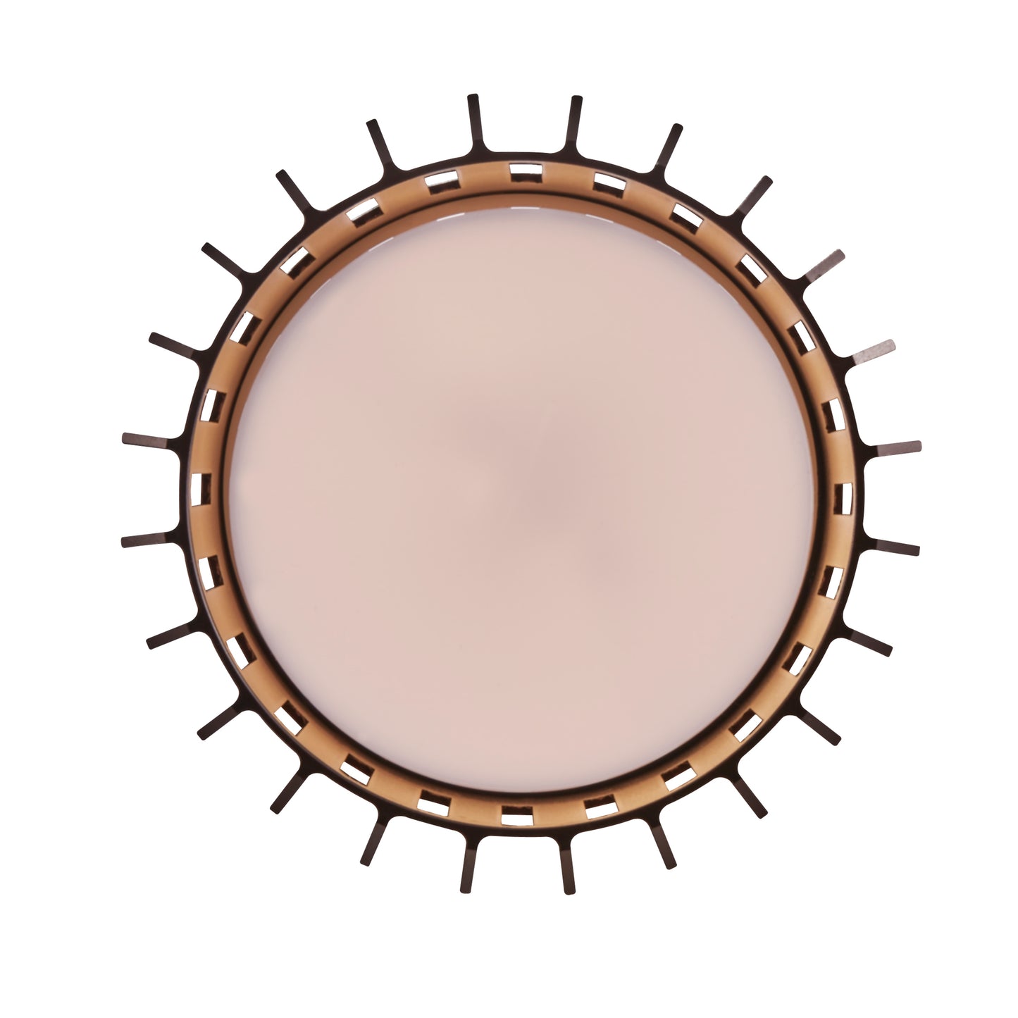 Aludra Outdoor Ceiling Light