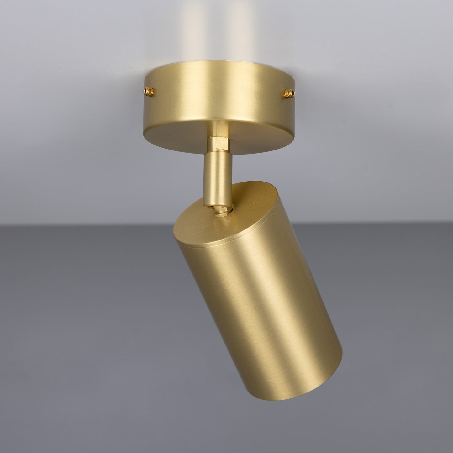 Evanston Directional Brass Ceiling Spot Light