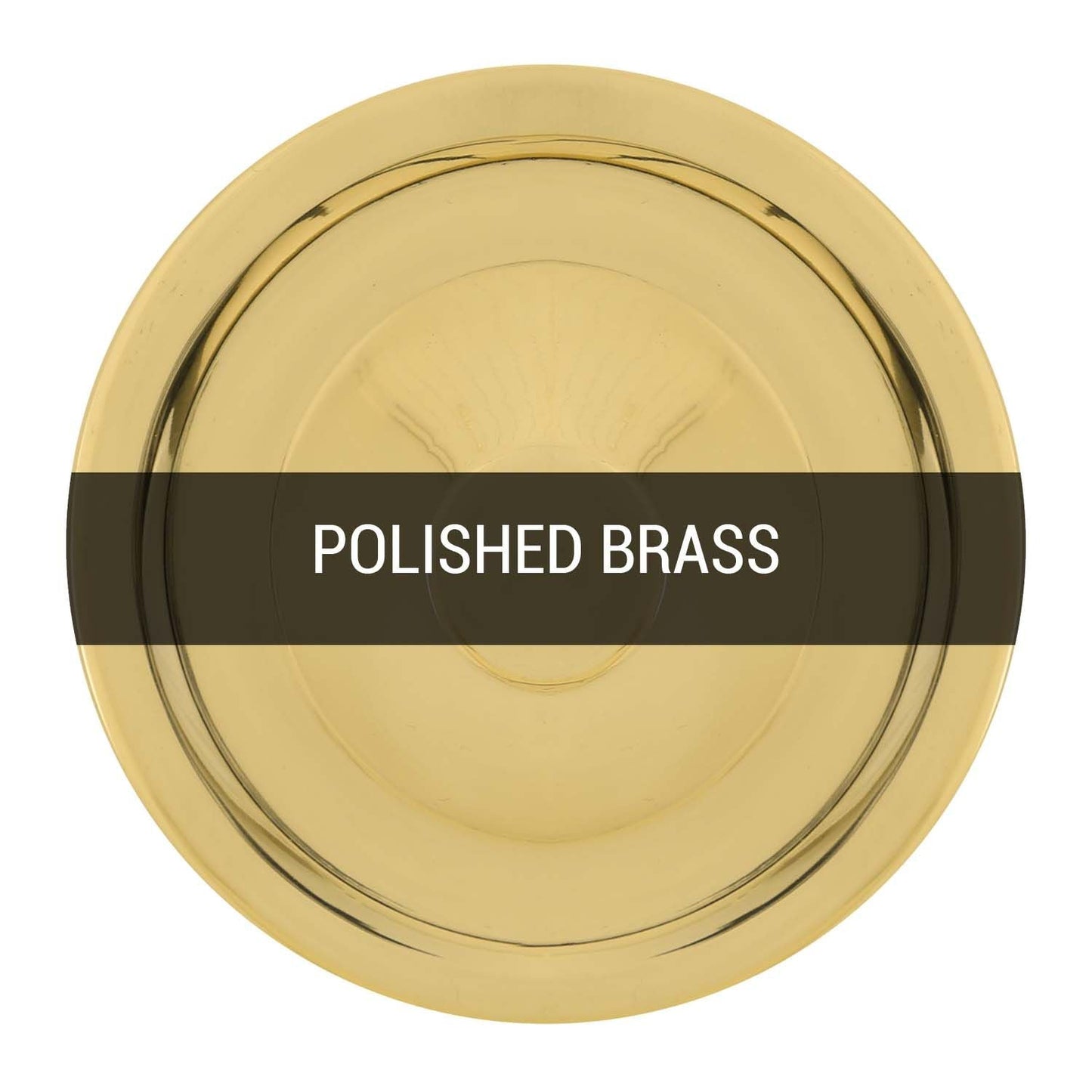 Ennis Brass Spot Wall Light IP44 / IP65