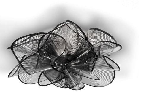 La Belle Etoile Ceiling and Wall Light