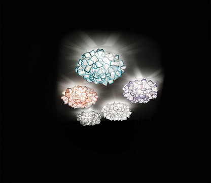Clizia Ceiling and Wall Light