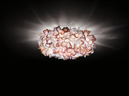 Clizia Ceiling and Wall Light