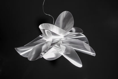 Etoile Pendant