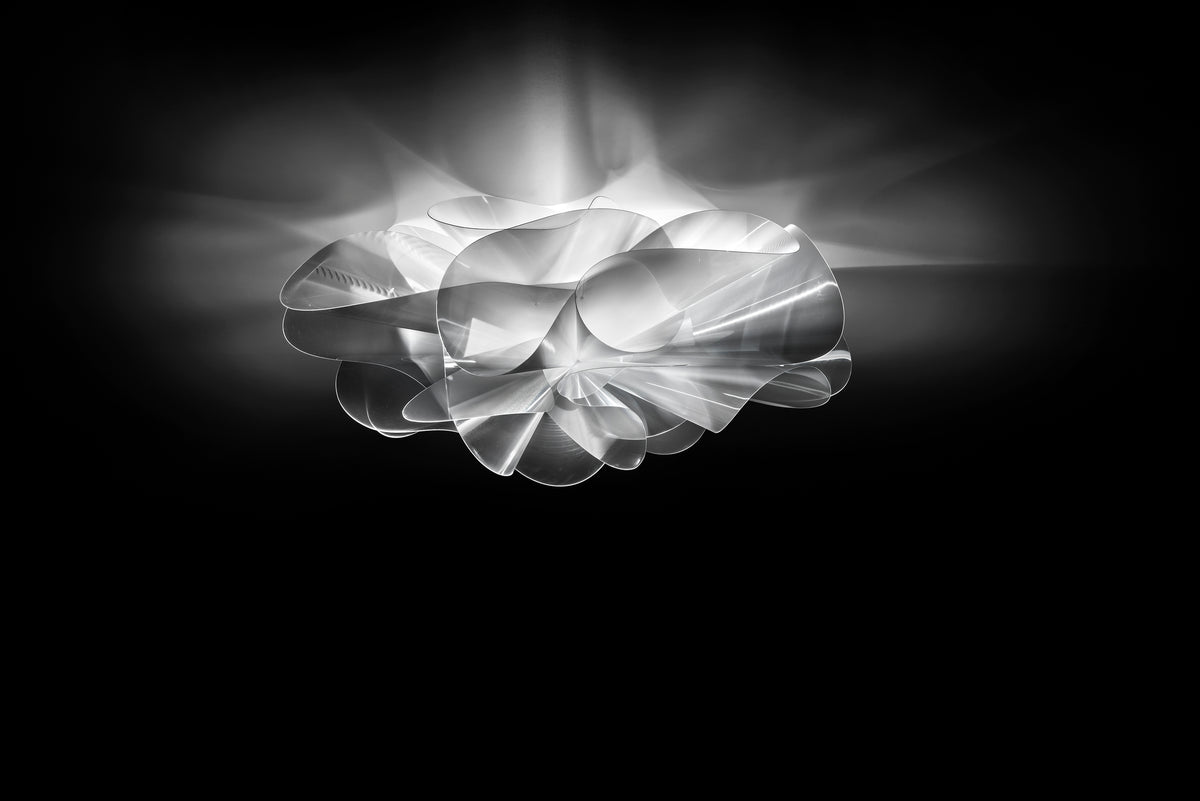 Etoile Ceiling and Wall Light