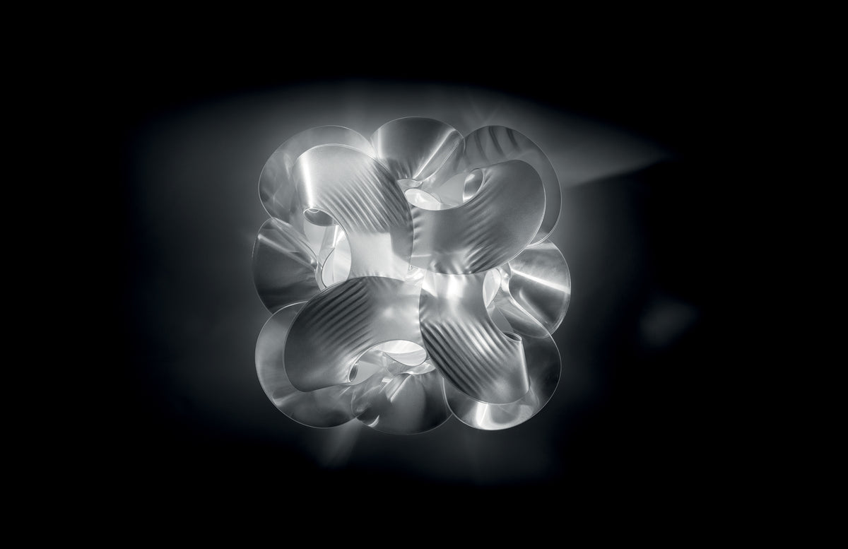 Fabula Ceiling and Wall Light