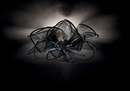 La Belle Etoile Ceiling and Wall Light