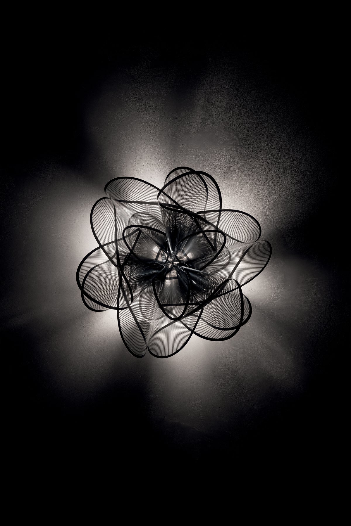 La Belle Etoile Ceiling and Wall Light