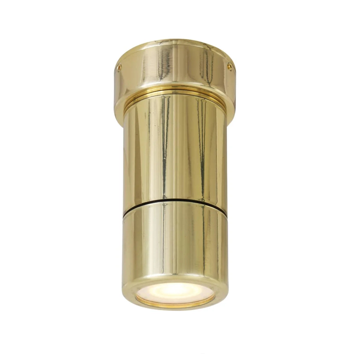 Ennis Brass Spot Ceiling Light IP44 / IP65