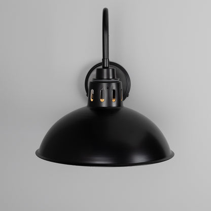 Talise Industrial Swan Neck Wall Light IP65