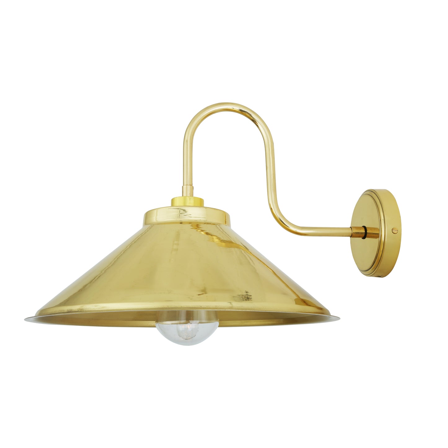 Nerissa Brass Swan Neck Wall Light IP65