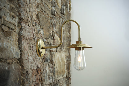 Ren Brass Swan Neck Wall Light IP65