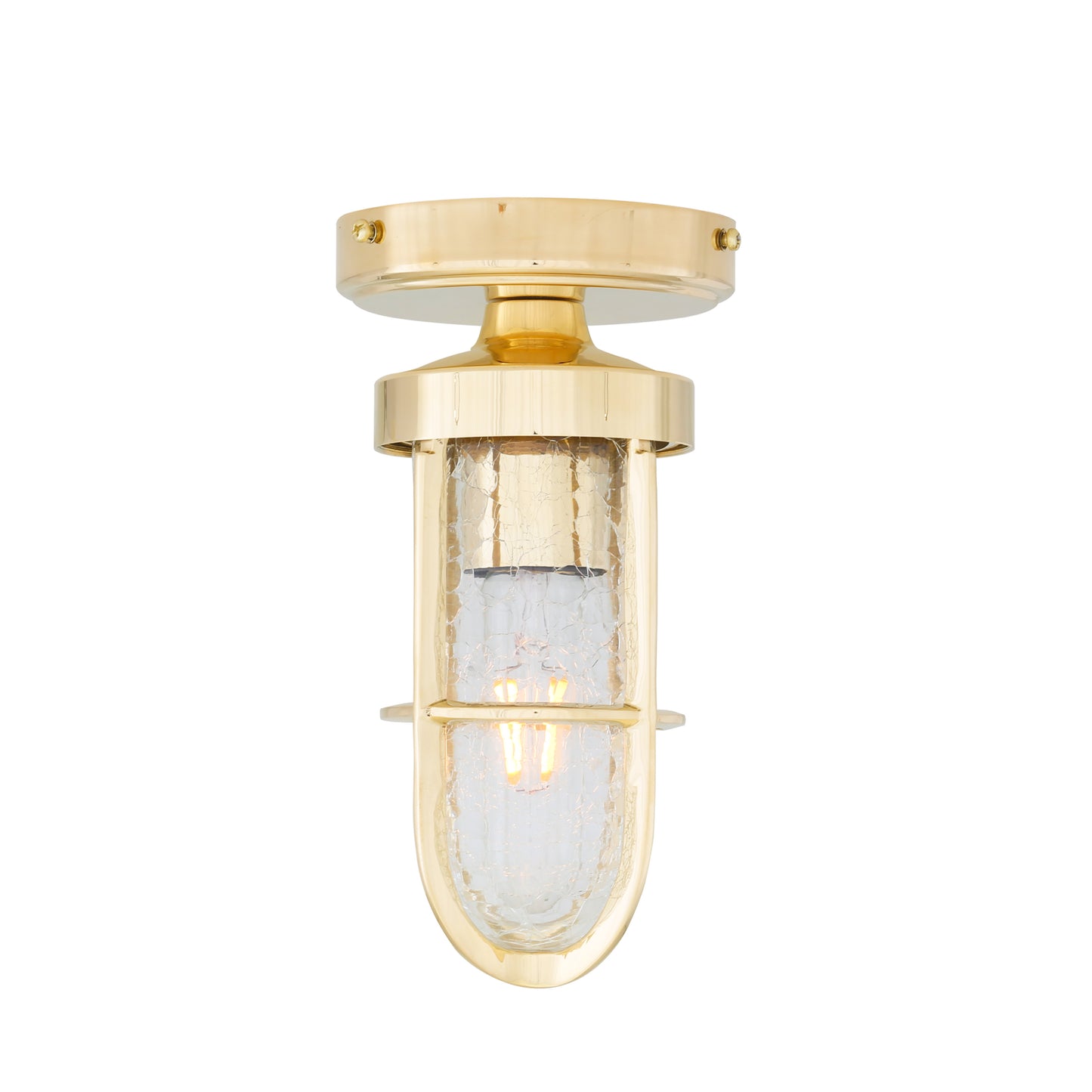 Oregon A Cage Well Glass Flush Ceiling Light IP65