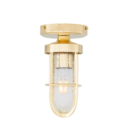 Oregon A Cage Well Glass Flush Ceiling Light IP65