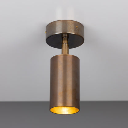 Evanston Directional Brass Ceiling Spot Light