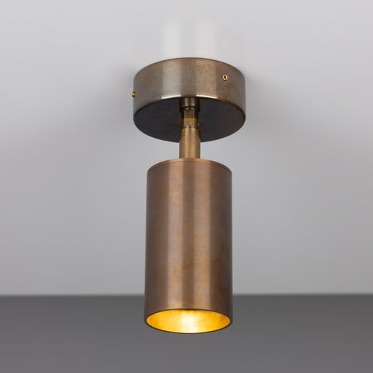 Evanston Directional Brass Ceiling Spot Light