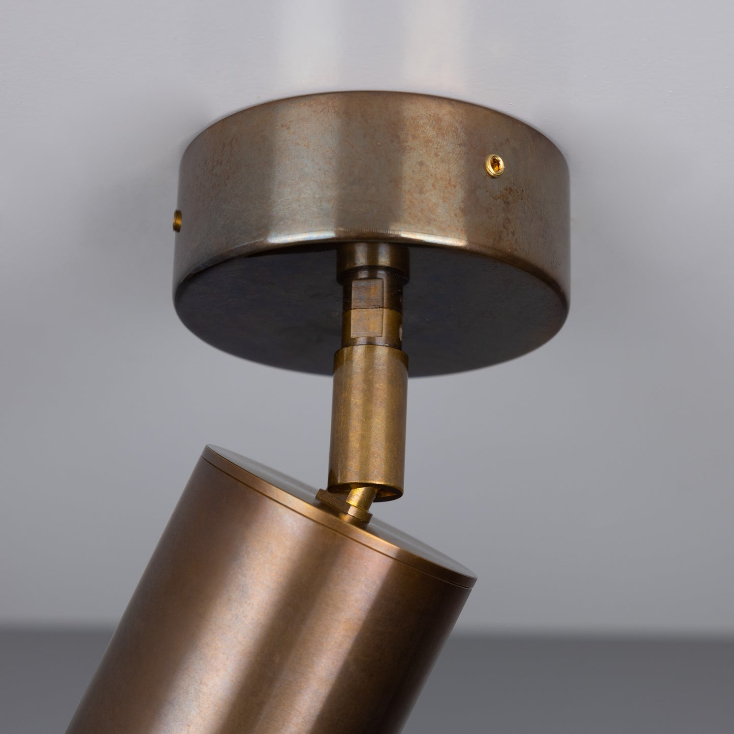 Evanston Directional Brass Ceiling Spot Light