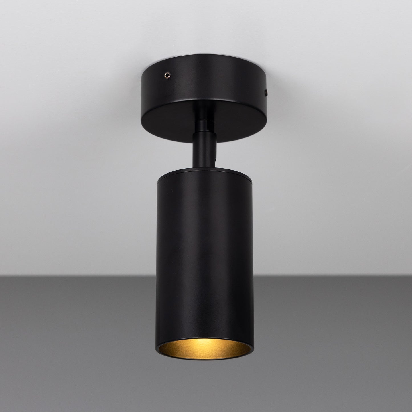 Evanston Directional Brass Ceiling Spot Light