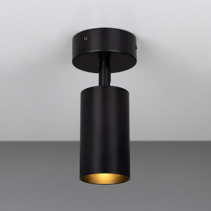 Evanston Directional Brass Ceiling Spot Light