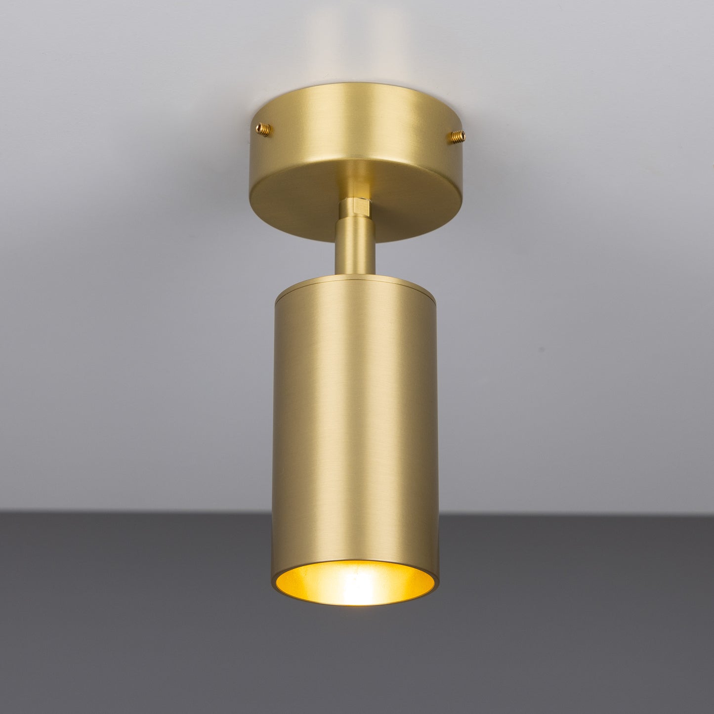 Evanston Directional Brass Ceiling Spot Light
