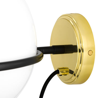 Oranmore Glass Globe Wall Light in Circular Steel Ring