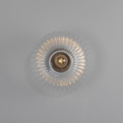 Neith Oval Reeded Glass and Brass Wall Light 30cm