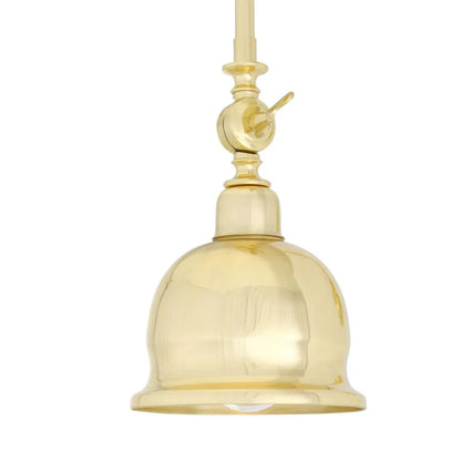 Apia Vintage Swivel Brass Picture Light