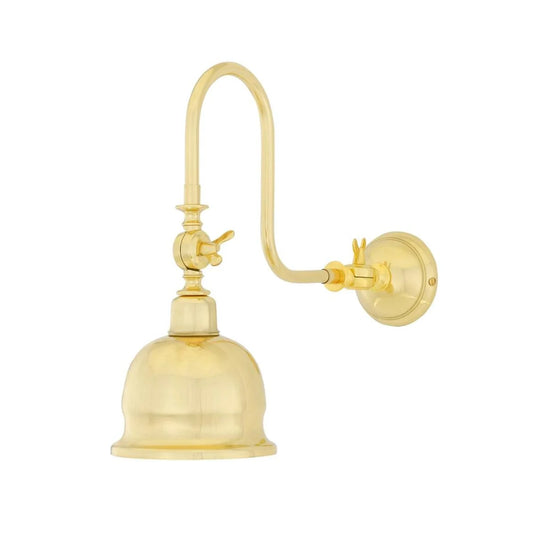 Apia Vintage Swivel Brass Picture Light