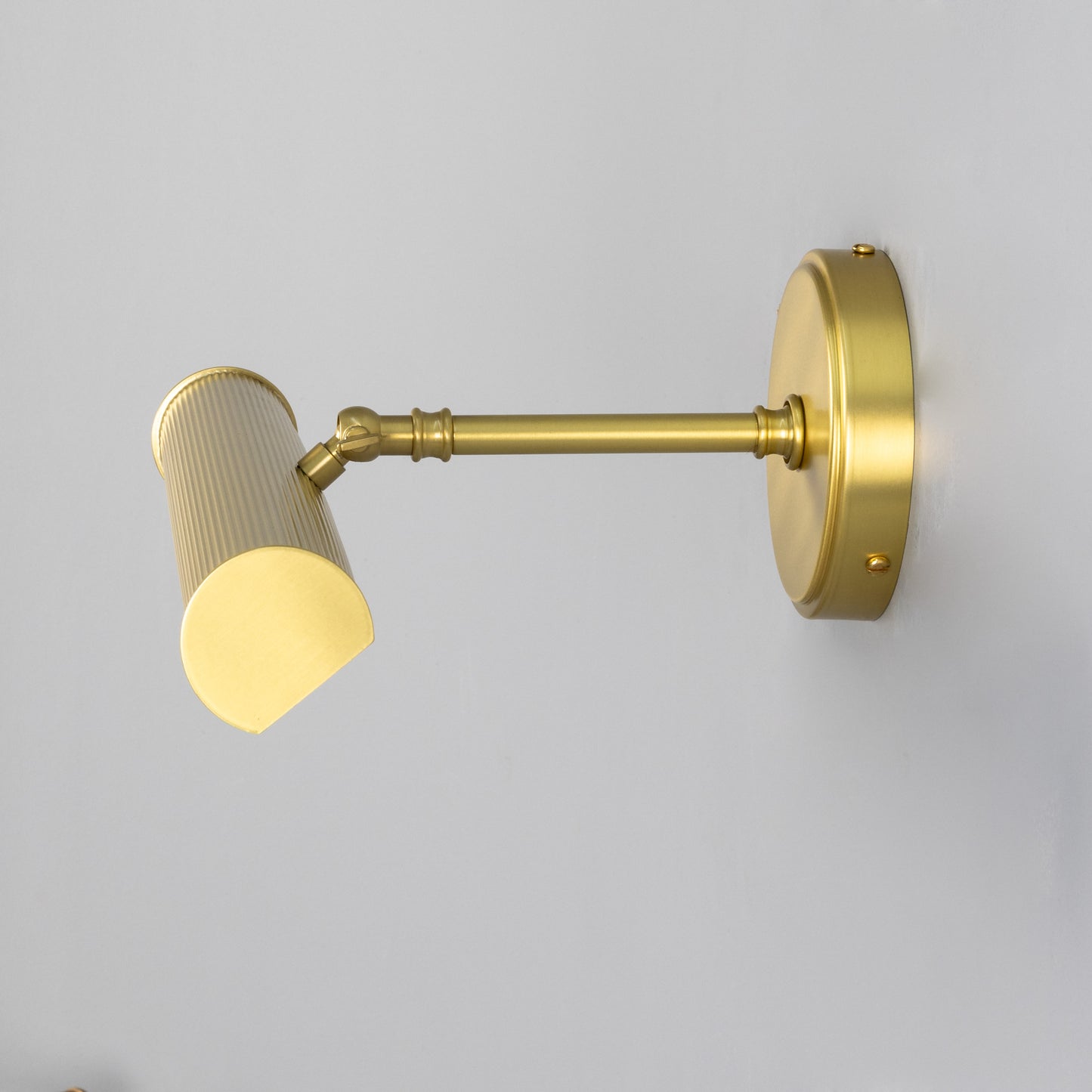 Bilbury Adjustable Reeded Brass Picture Light IP20