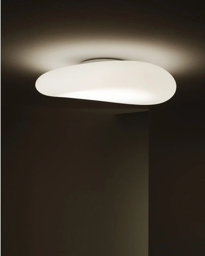 Mr. Magoo Wall & Ceiling Light