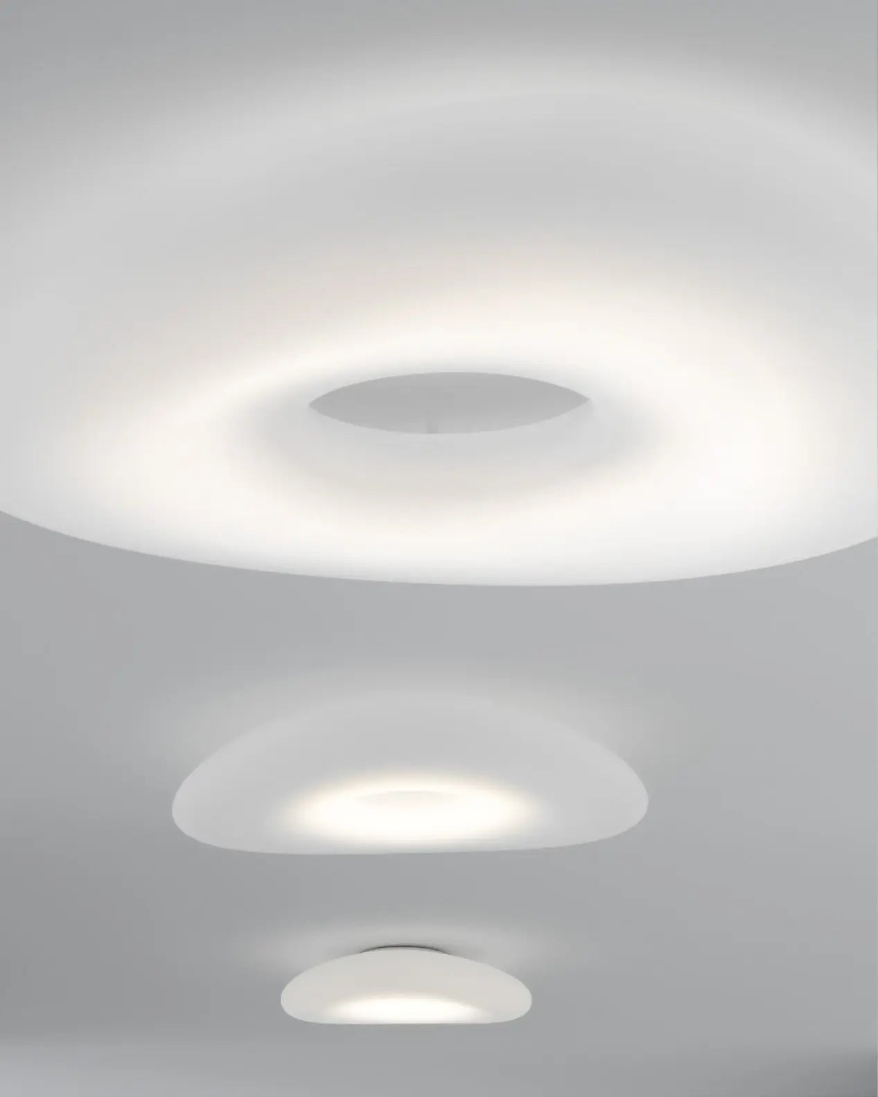 Mr. Magoo Wall & Ceiling Light