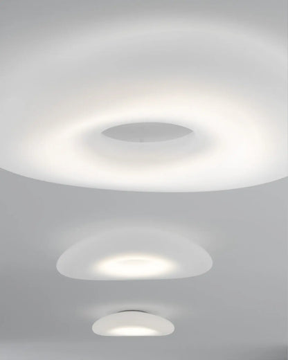 Mr. Magoo Wall & Ceiling Light