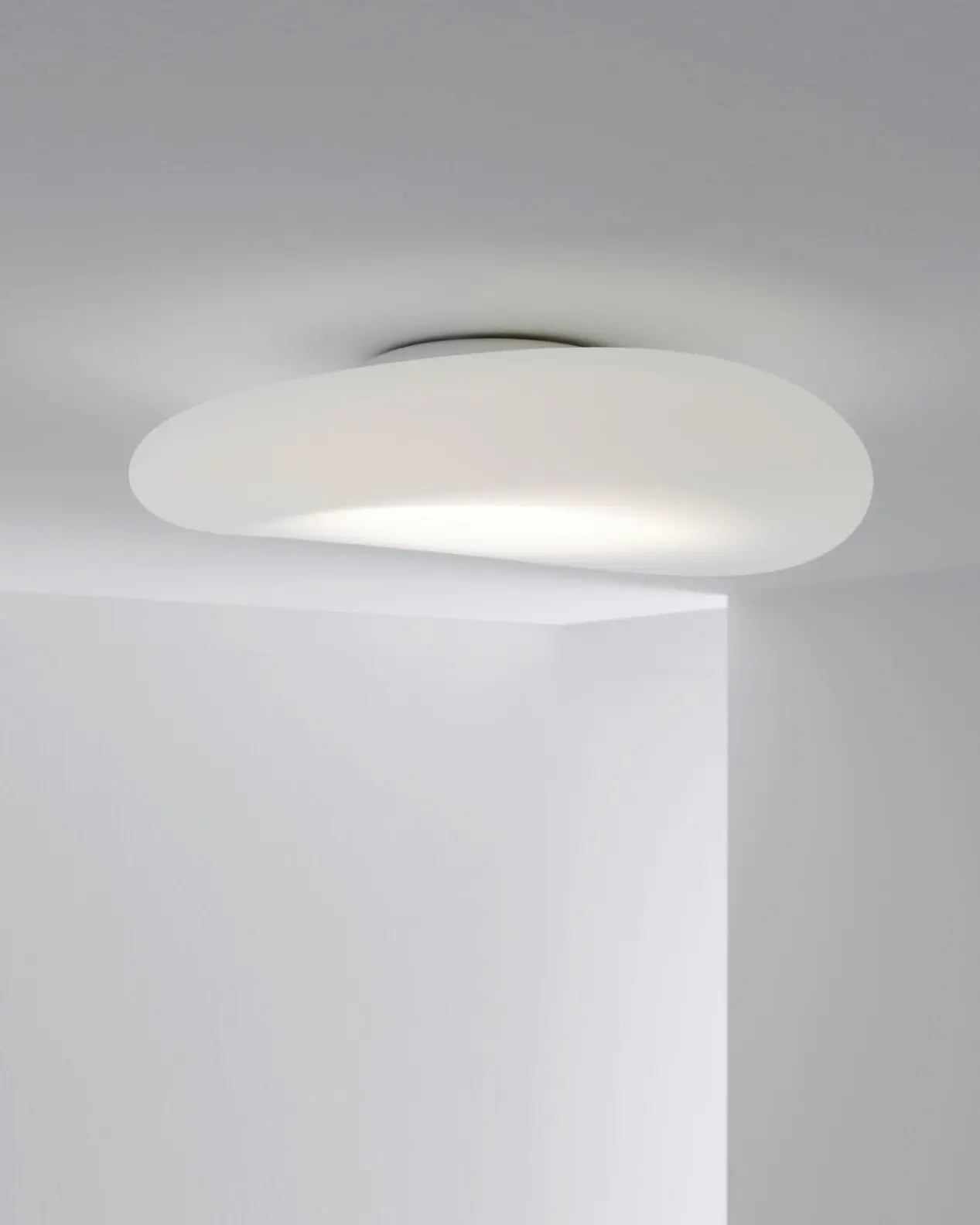Mr. Magoo Wall & Ceiling Light