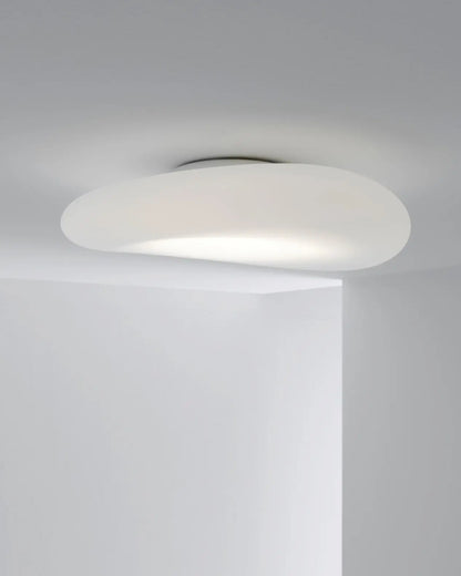 Mr. Magoo Wall & Ceiling Light