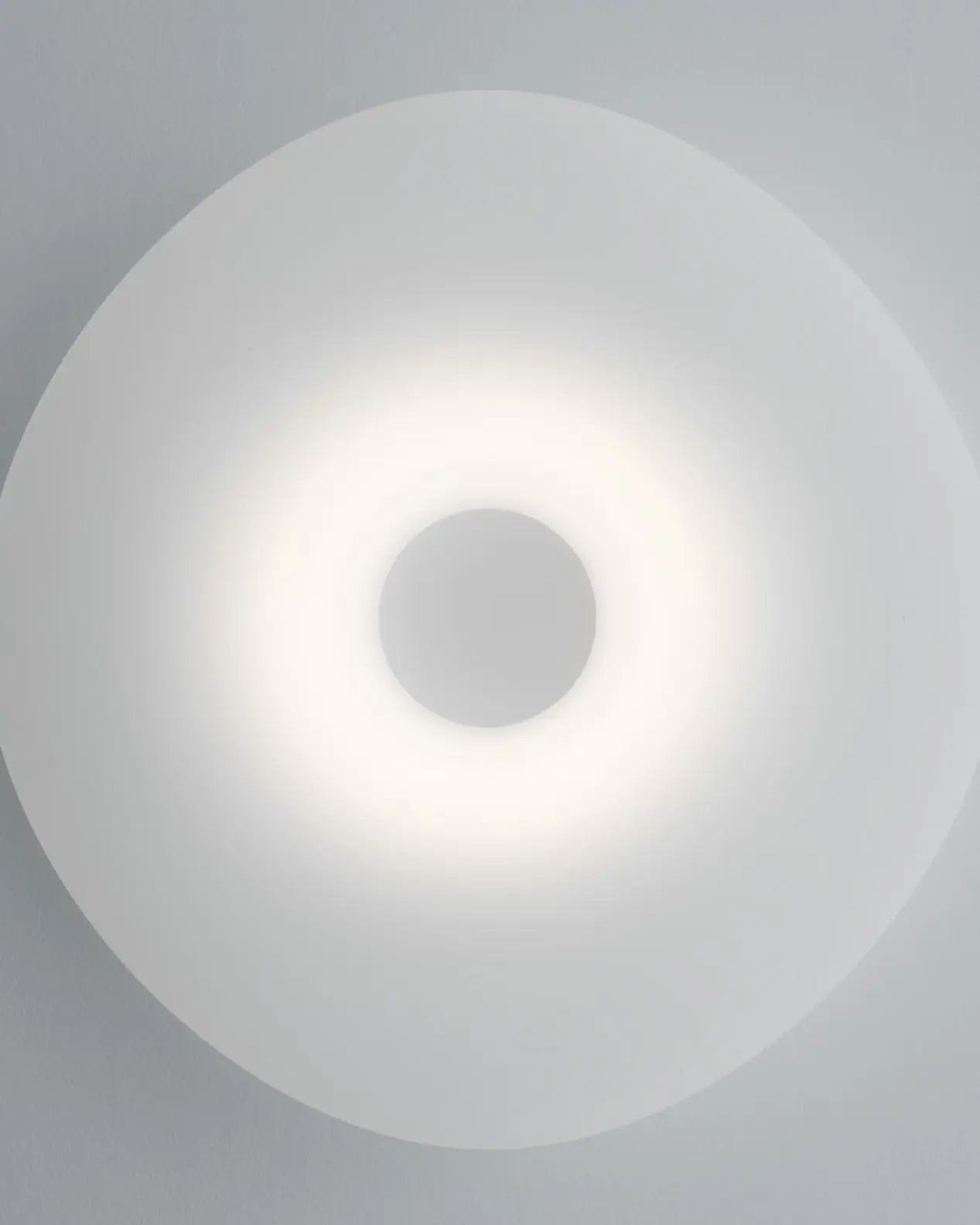 Mr. Magoo Wall & Ceiling Light