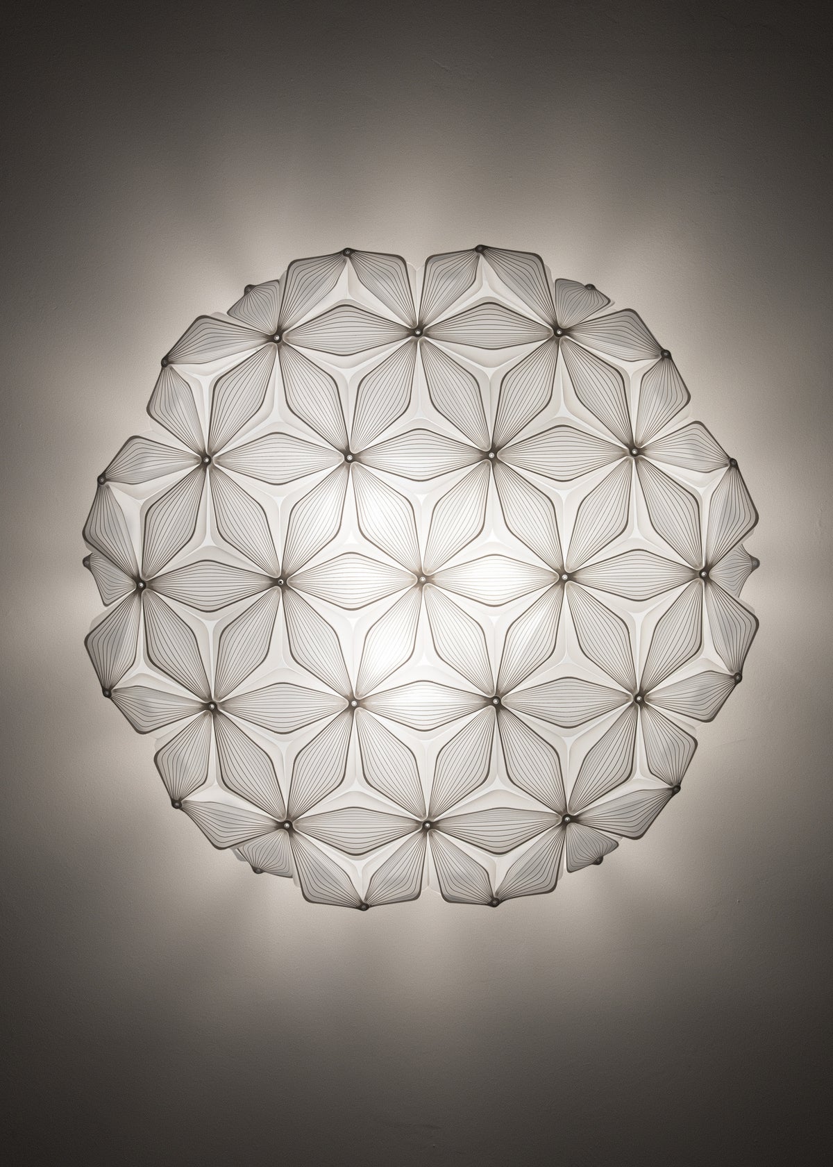 C'est La Vie Ceiling and Wall Light