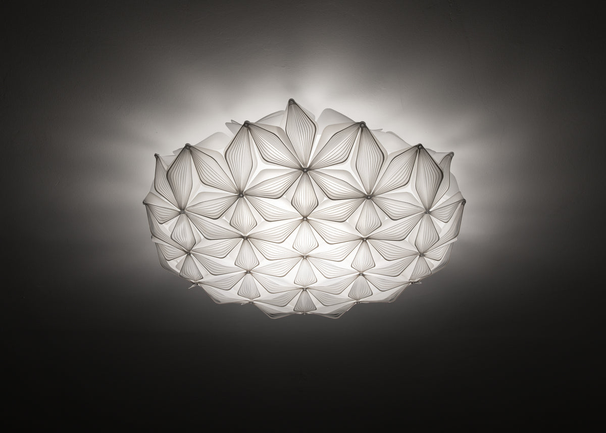 C'est La Vie Ceiling and Wall Light