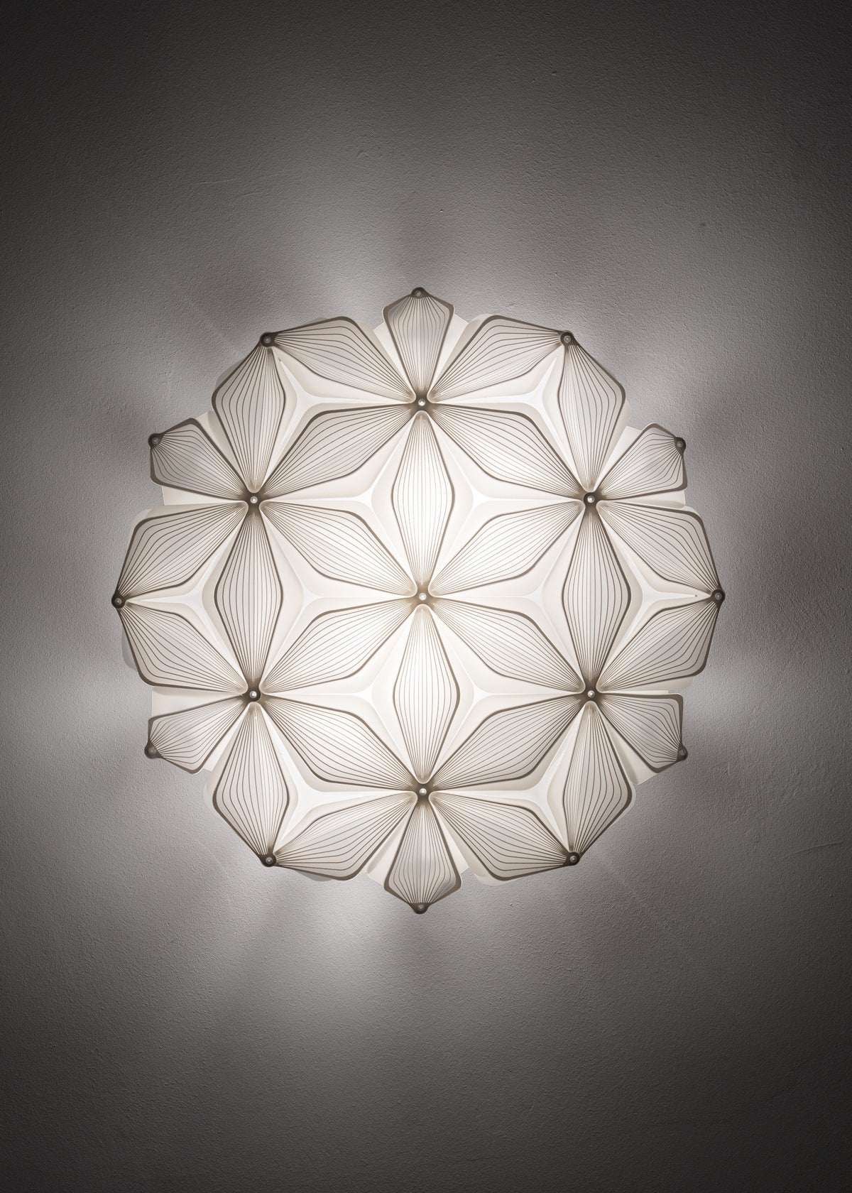 C'est La Vie Ceiling and Wall Light