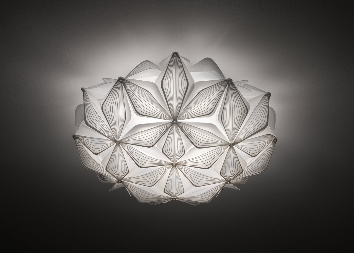 C'est La Vie Ceiling and Wall Light