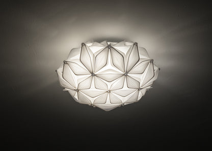 C'est La Vie Ceiling and Wall Light