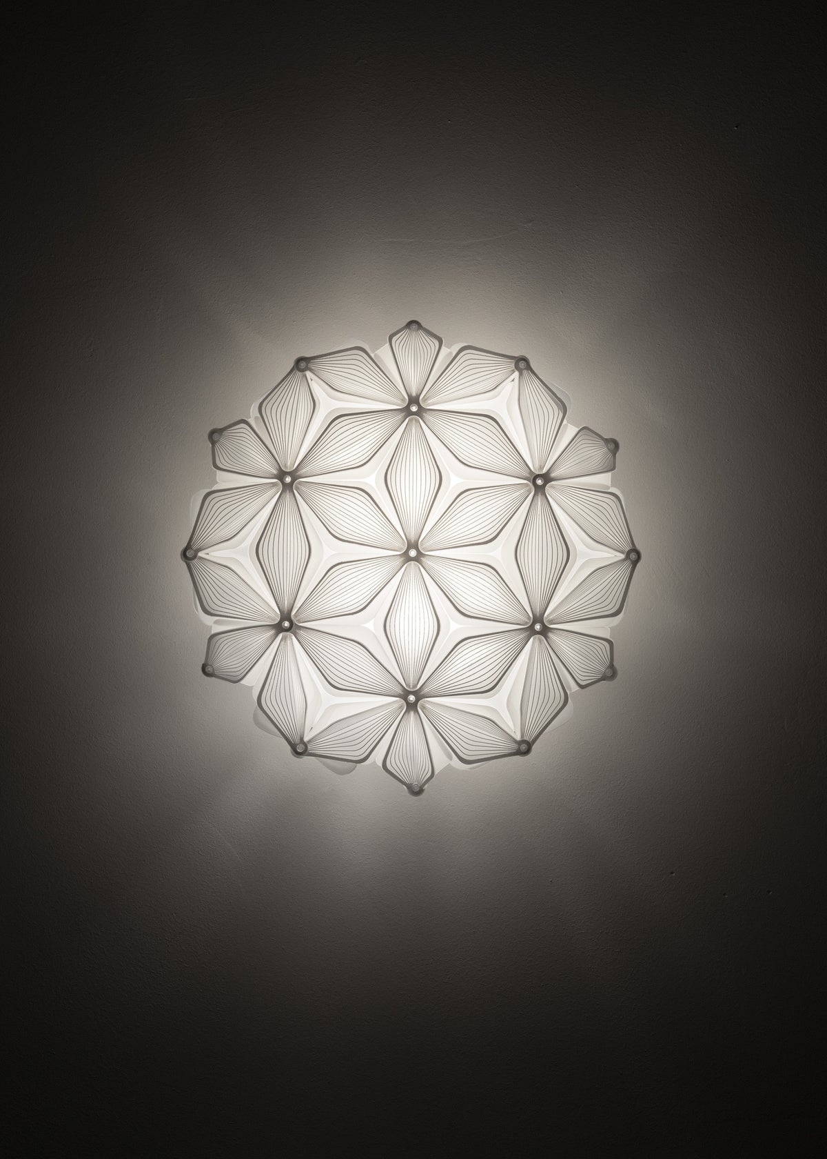 C'est La Vie Ceiling and Wall Light
