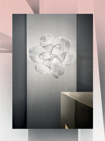 La Belle Etoile Ceiling and Wall Light