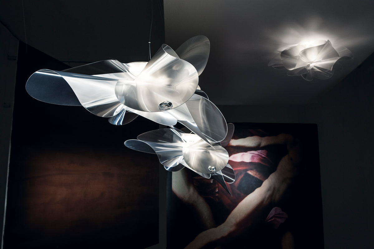 Etoile Ceiling and Wall Light