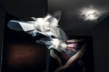 Etoile Ceiling and Wall Light
