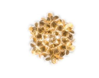 Clizia Mama Non Mama Ceiling and Wall Light